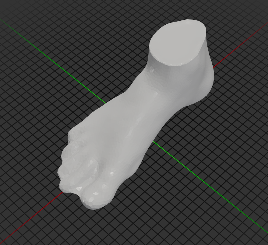3D Foot Model Diagonal View