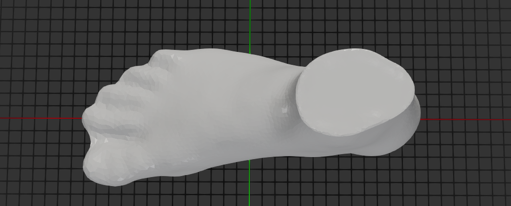 3D Foot Model Top View